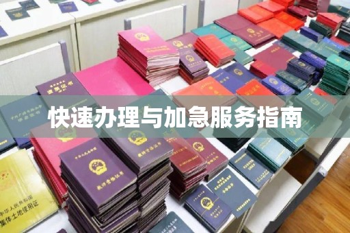 深泽快速办理与加急服务指南
